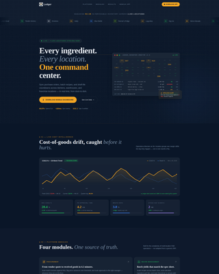 Ledger - Powerful ERP Landing Page Template