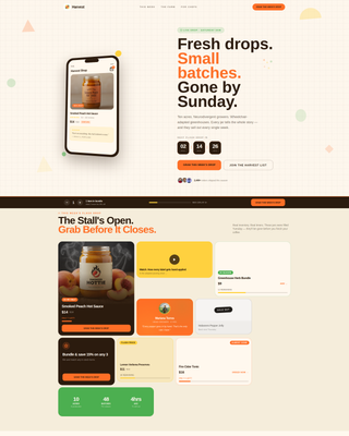 Advanced Disability-Owned Business Pre-Launch & Coming Soon Website Template