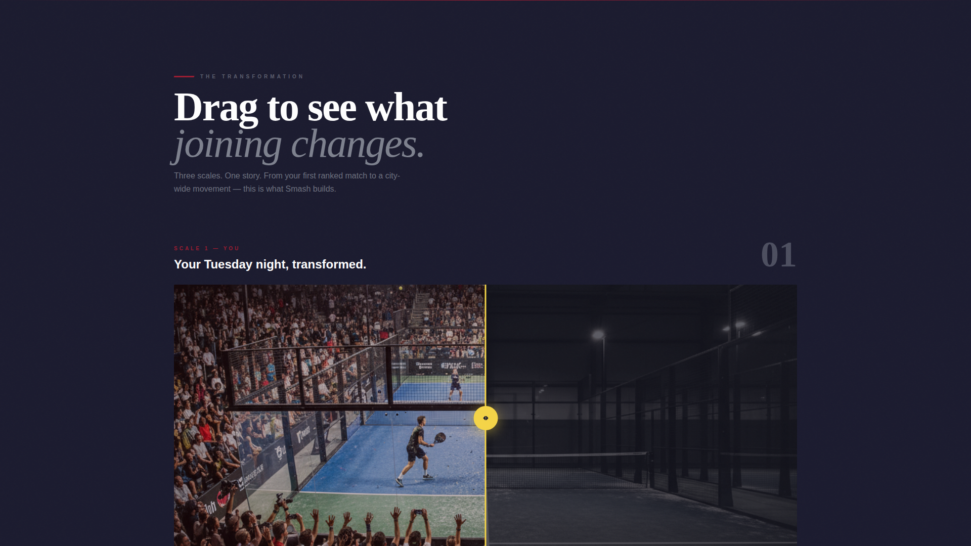 Padel Tennis Professional Website Template