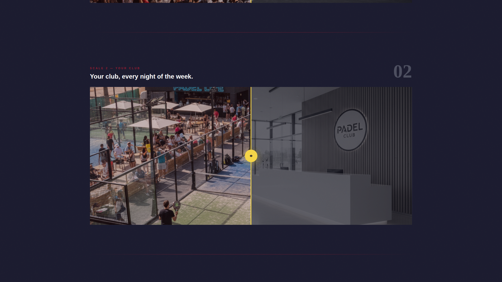 Padel Tennis Professional Website Template