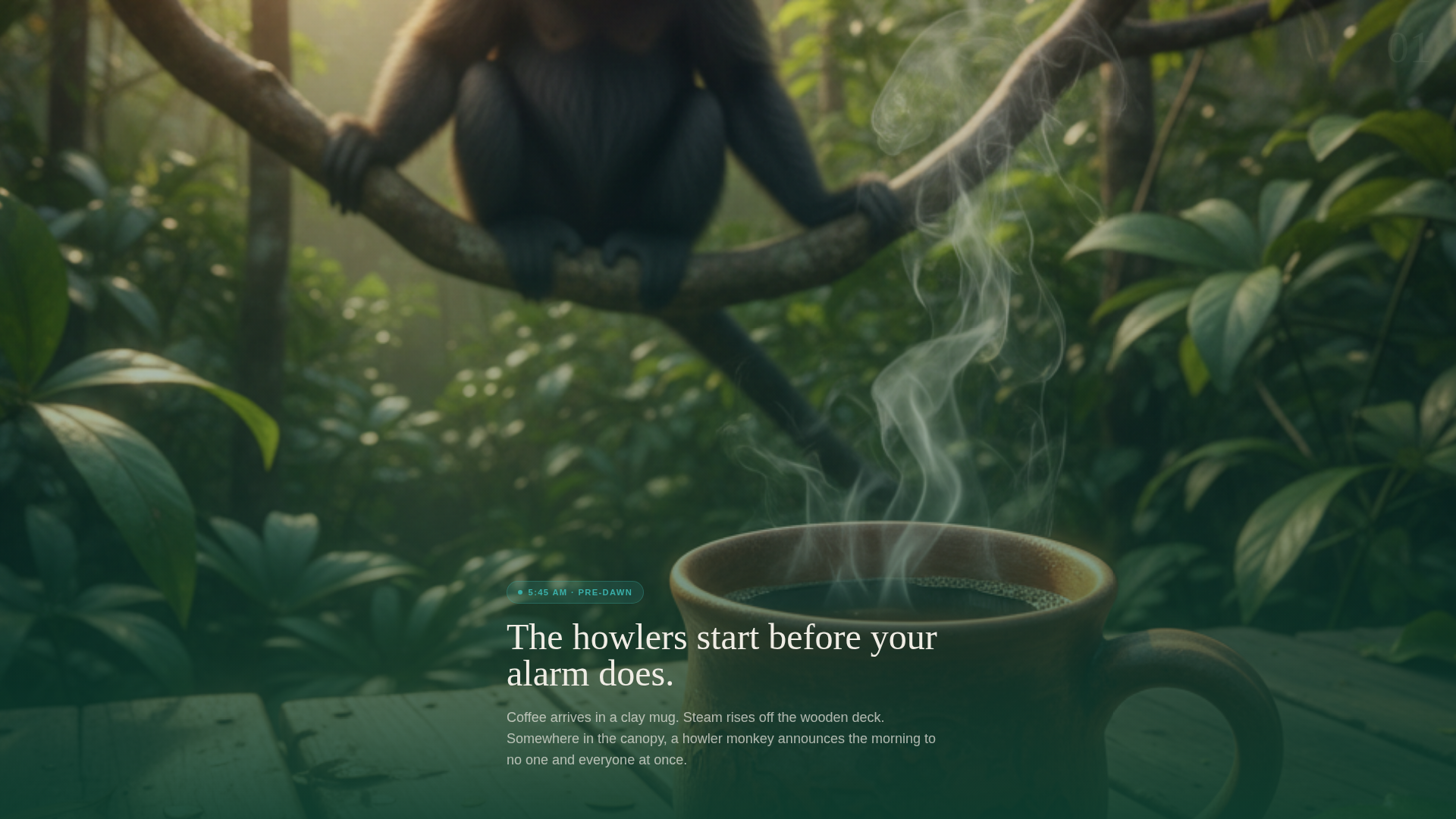 Adventure Experience Landing Page Template