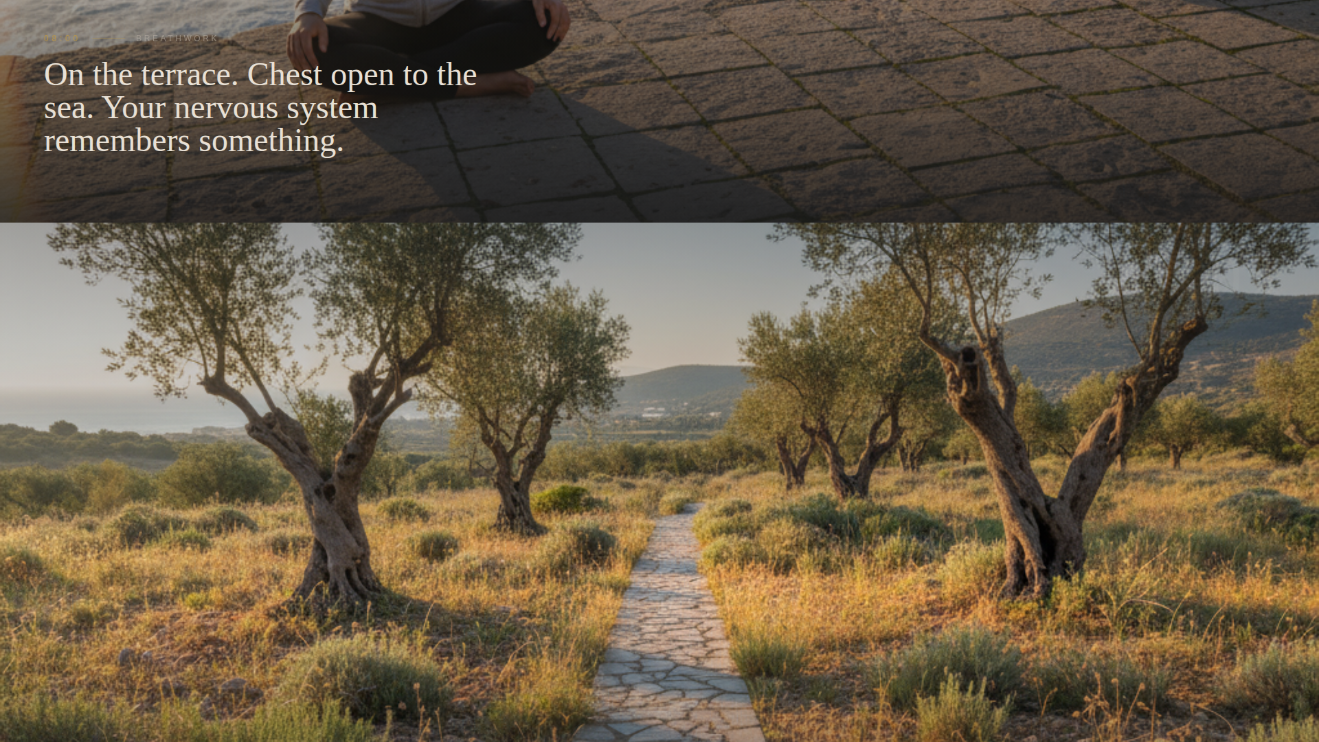 Greece Travel Expert Booking Website Template