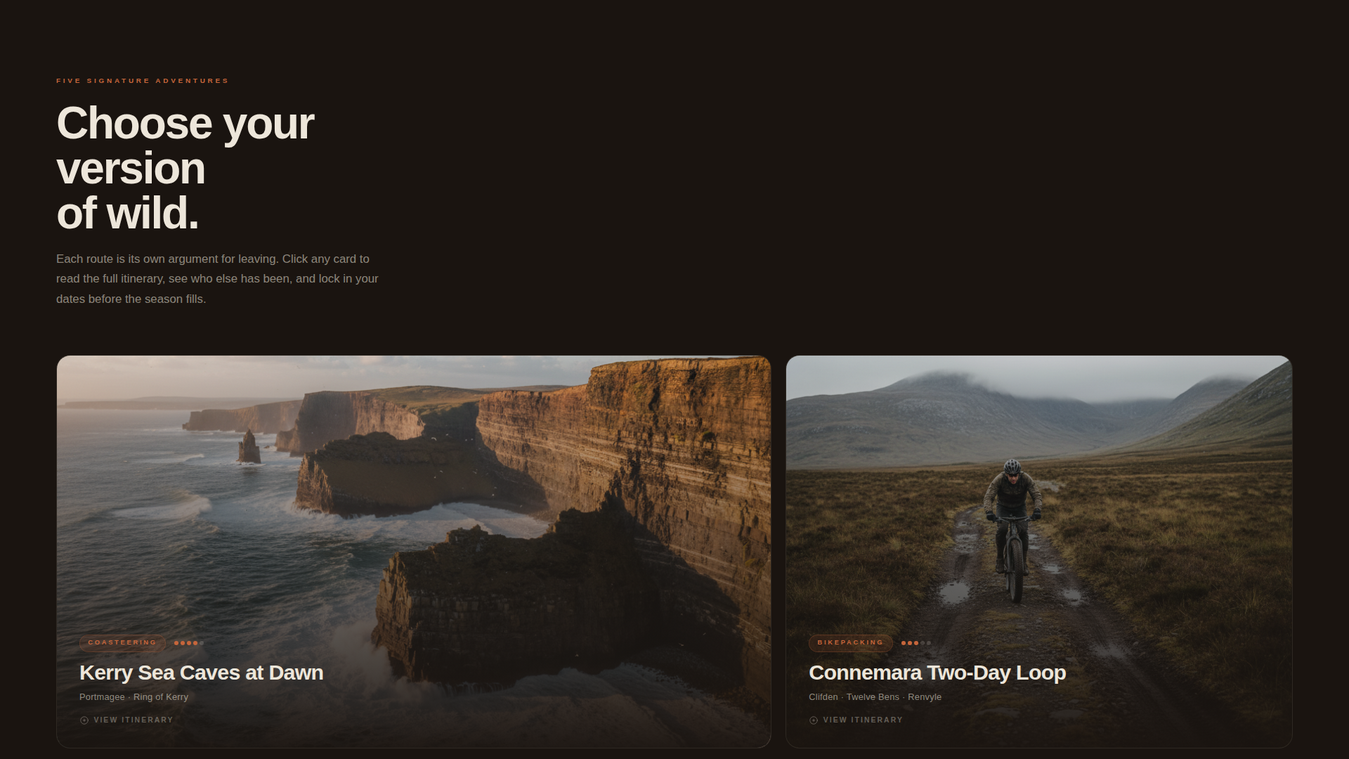 Ireland Travel Professional Website Template