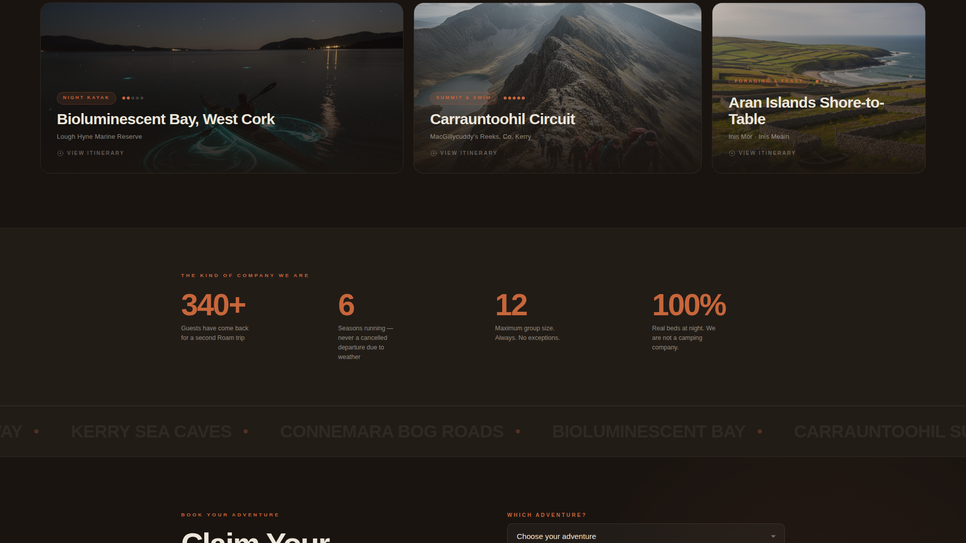 Ireland Travel Professional Website Template