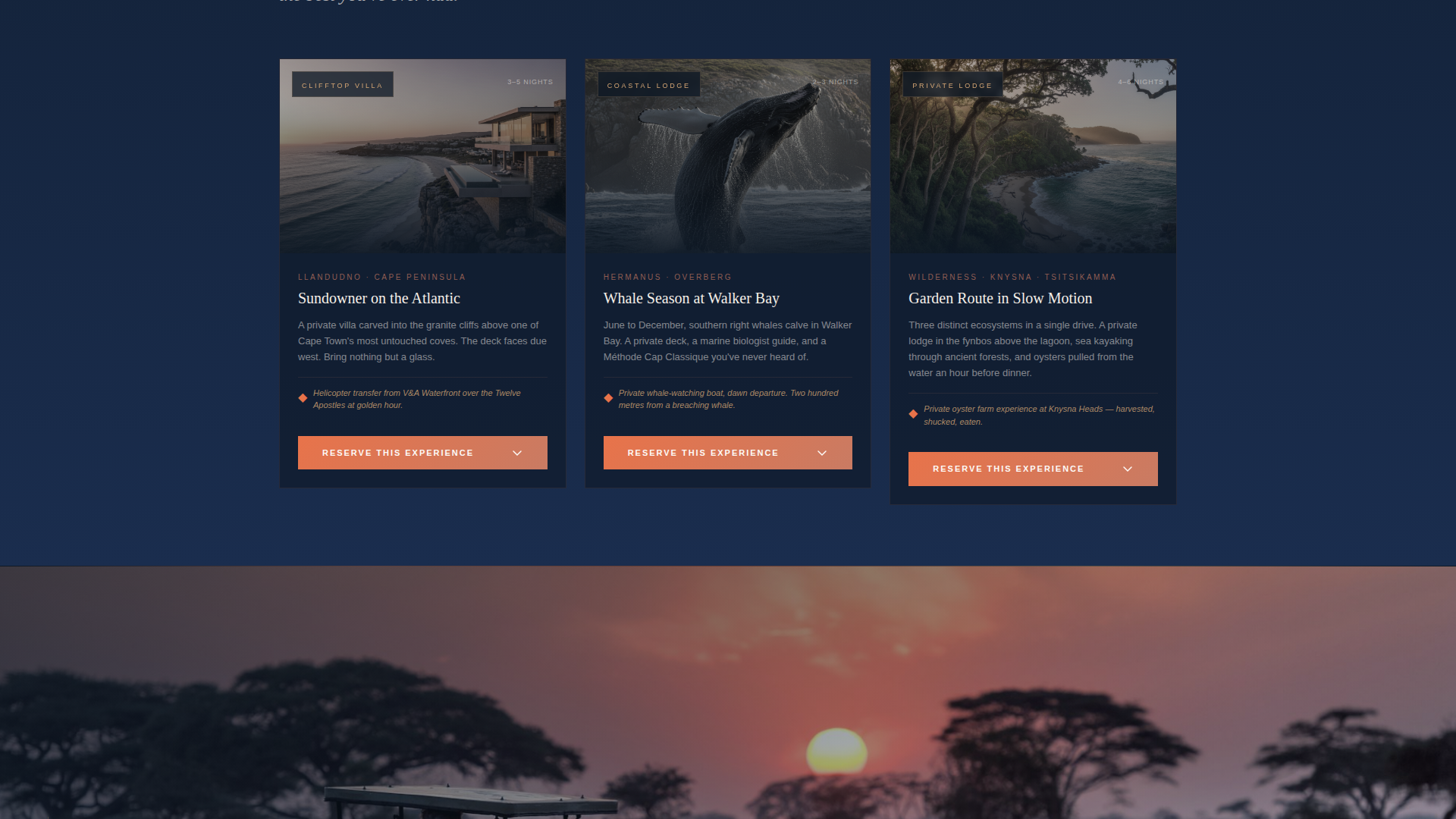 South Africa Travel Portfolio Website Template