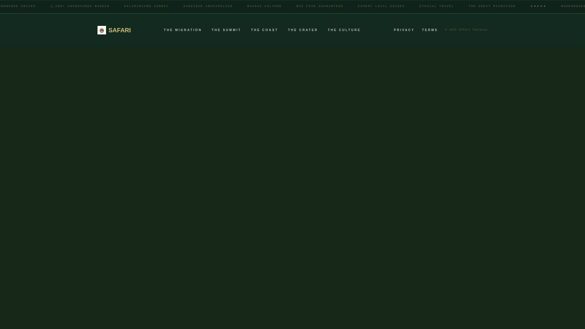 Tanzania Travel Booking Website Template