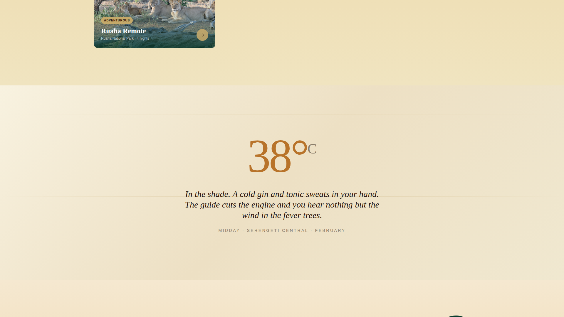 Tanzania Travel Pricing Website Template
