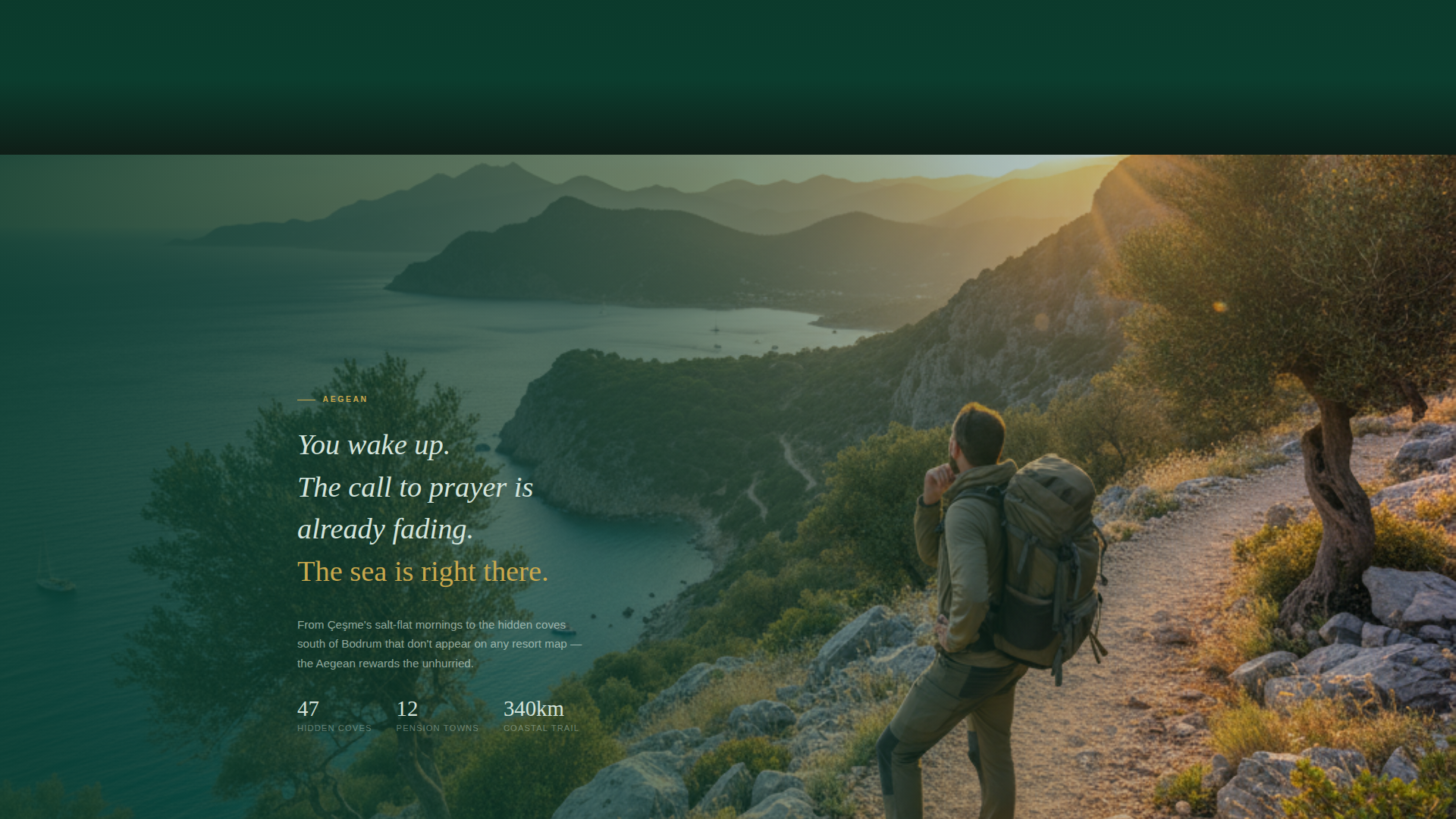 Turkey Travel Complete Professional Website Template