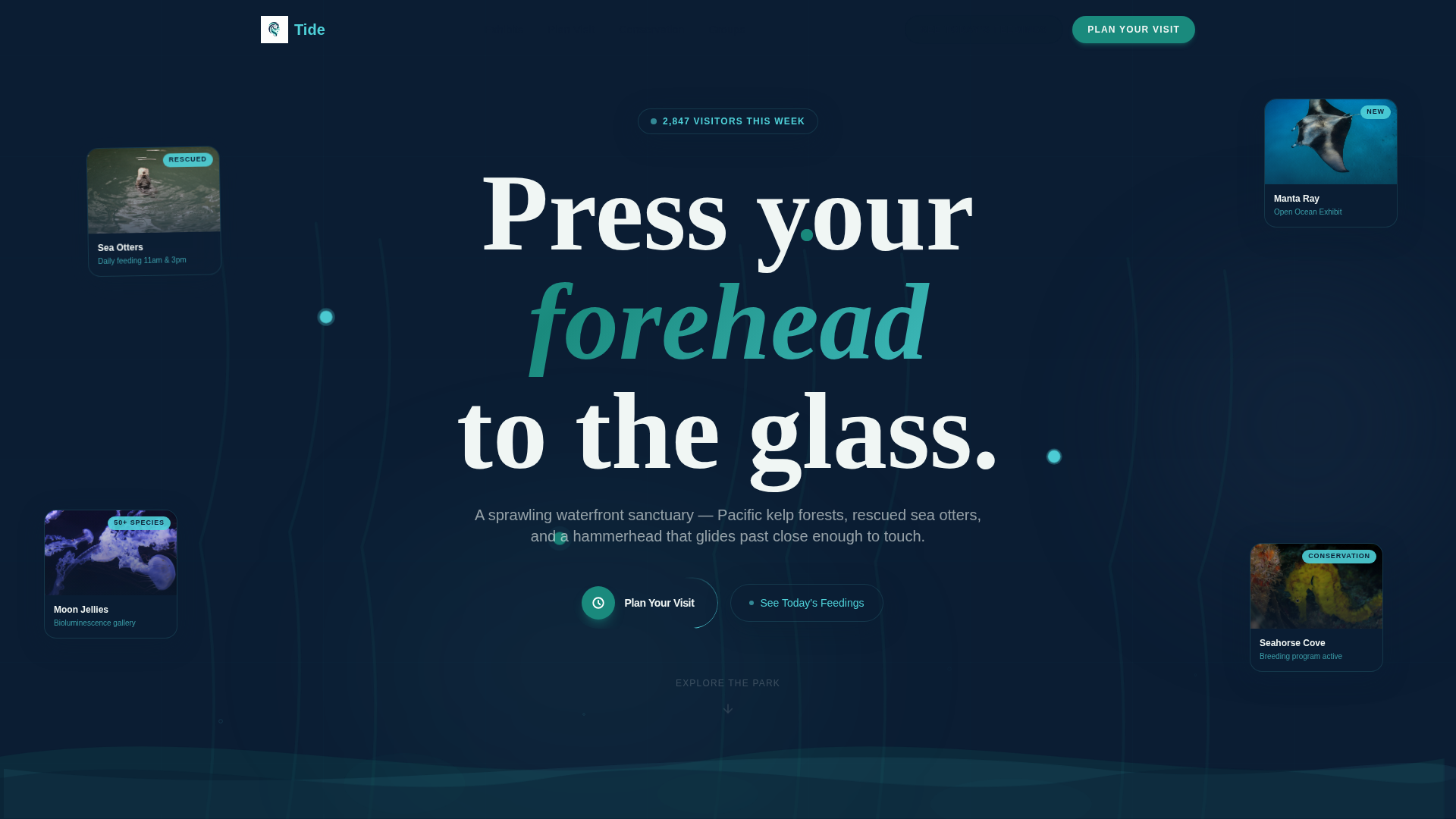 Tourist Attraction & Destination Advanced Booking Website Template