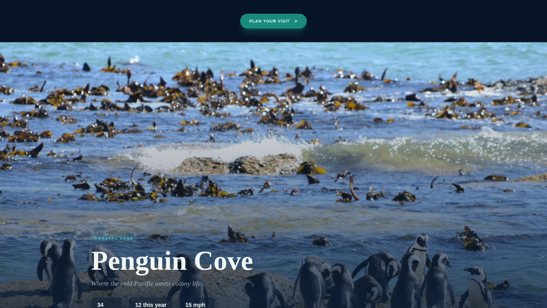 Tourist Attraction & Destination Advanced Booking Website Template