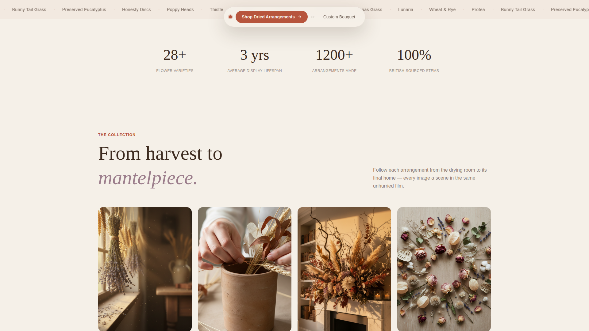 Dried Flower Florist & Arrangement Shop Website Template