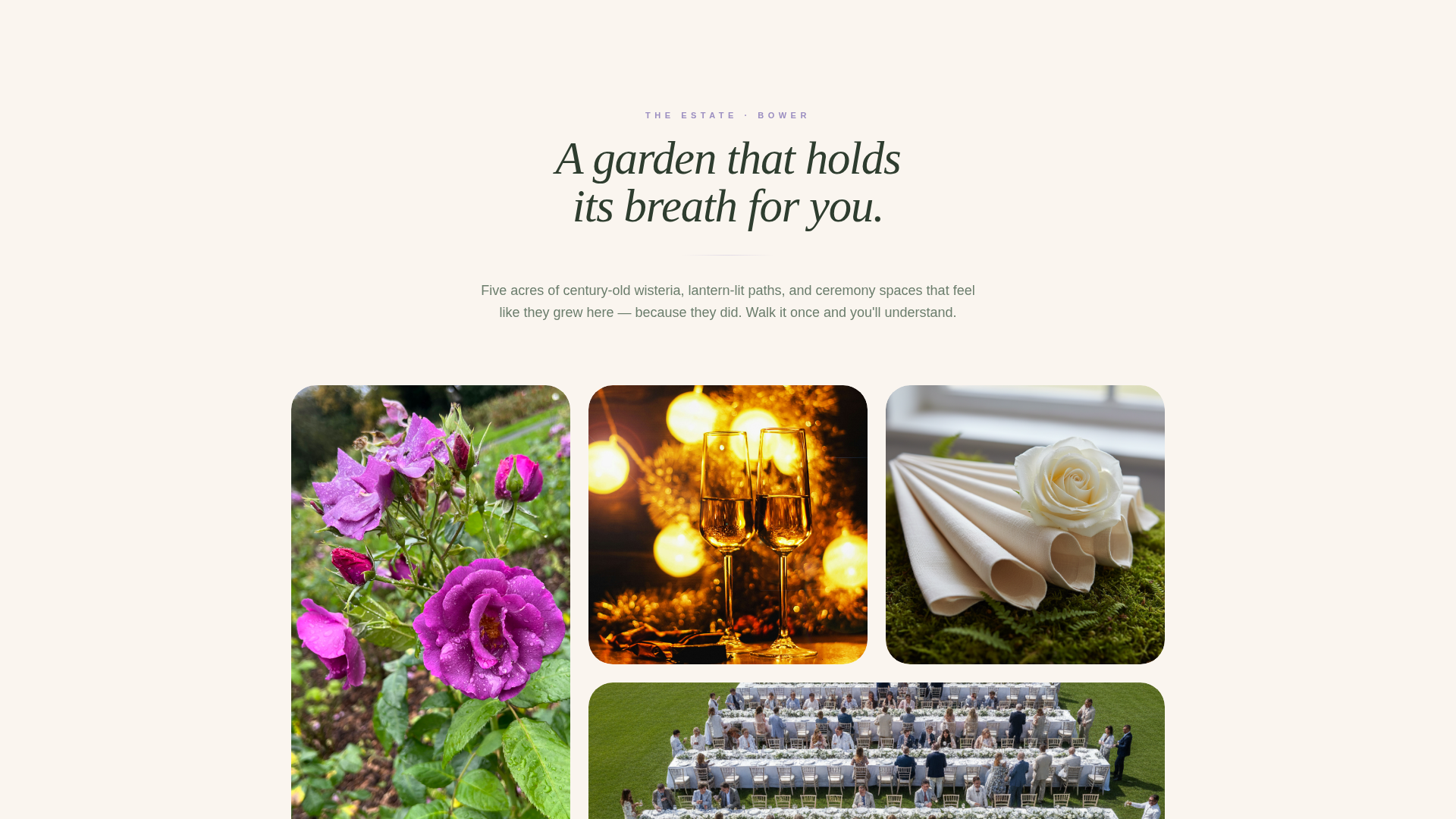 Wedding Venue Specialist Professional Website Template