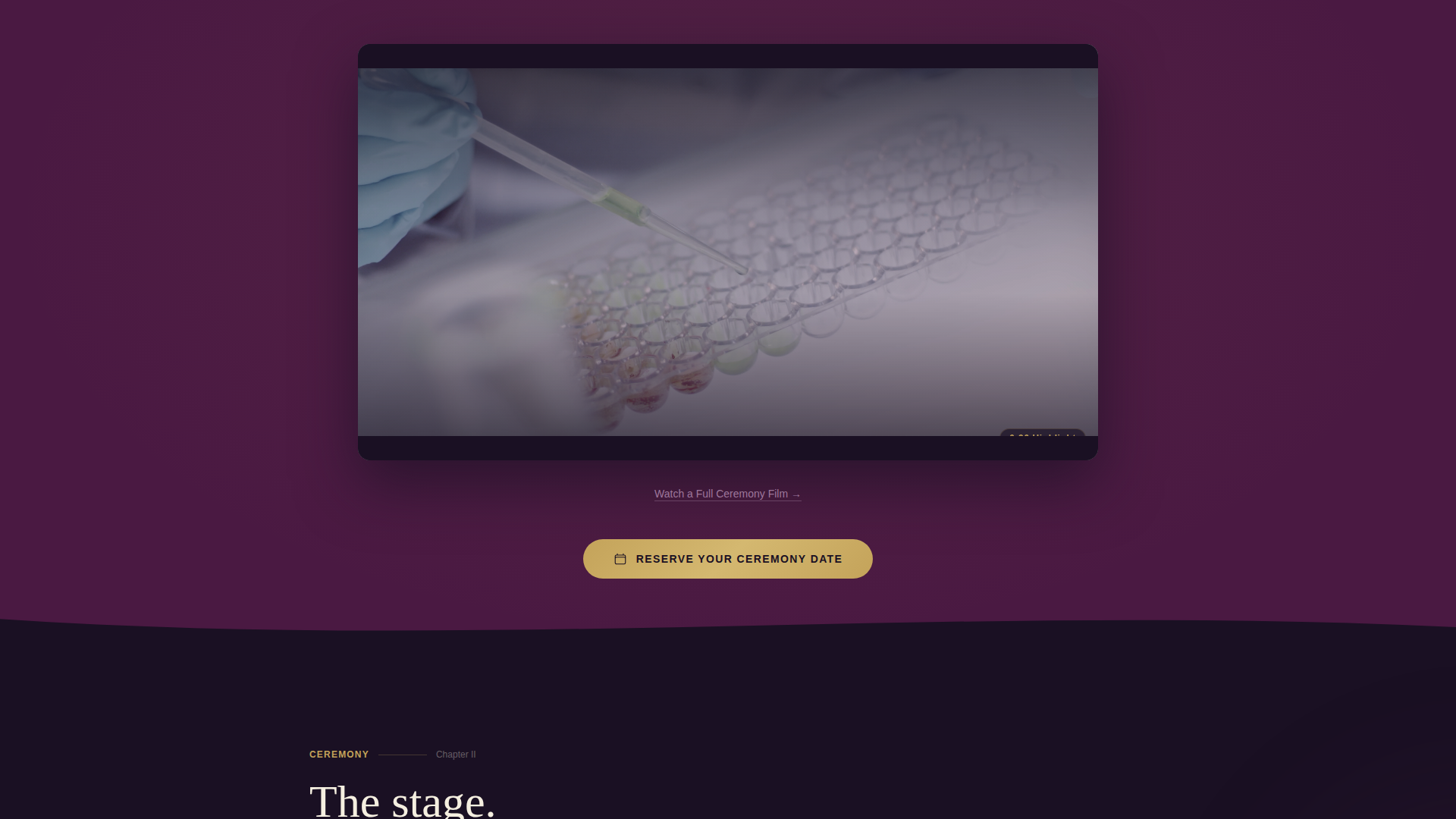 Graduation Event Specialist Booking Website Template