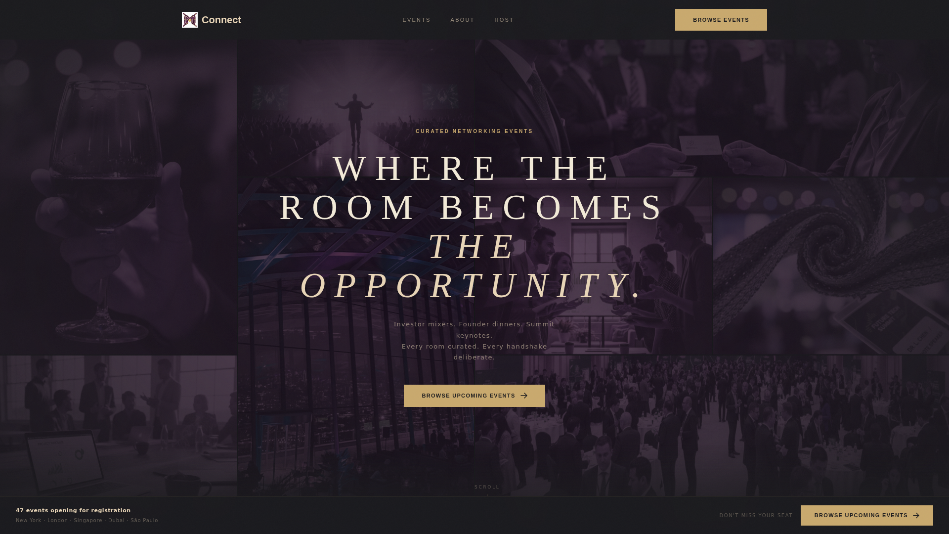 Networking Event Professional Website Template