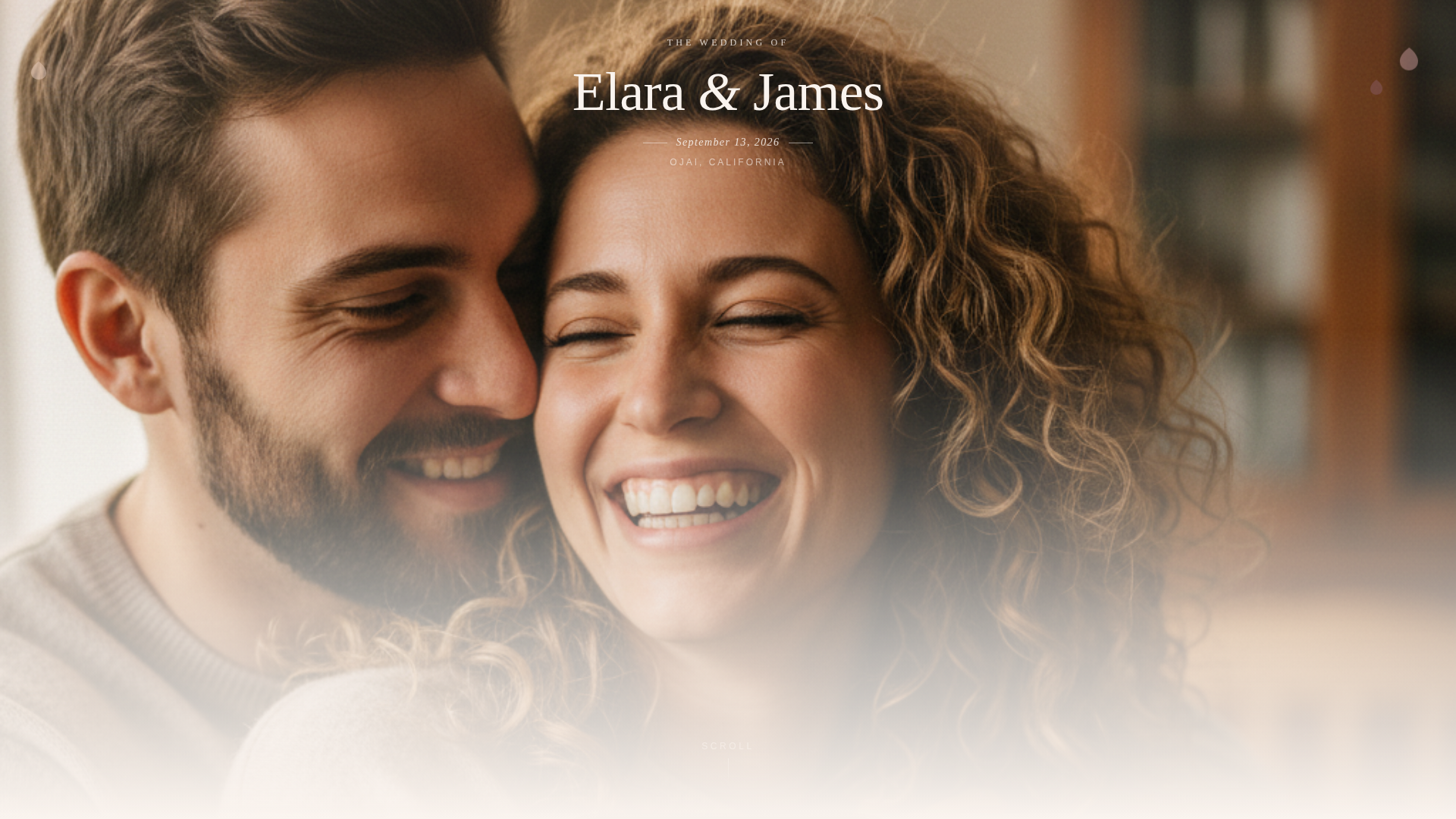 Wedding Coordination Landing Page Template