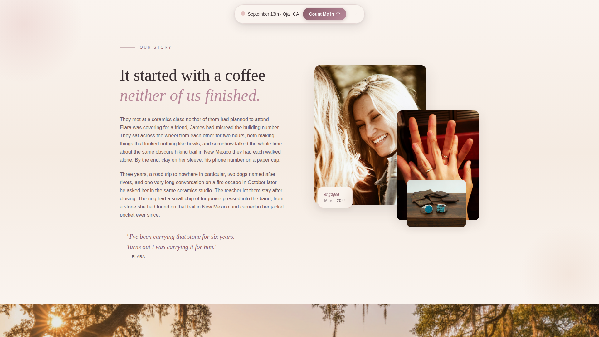 Wedding Coordination Landing Page Template