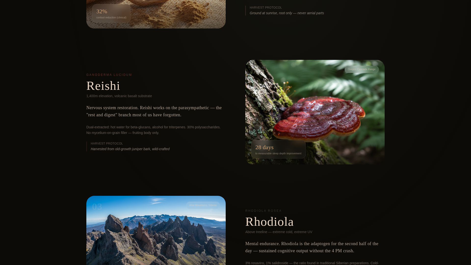 Adapt - Powerful Adaptogen Landing Page Template