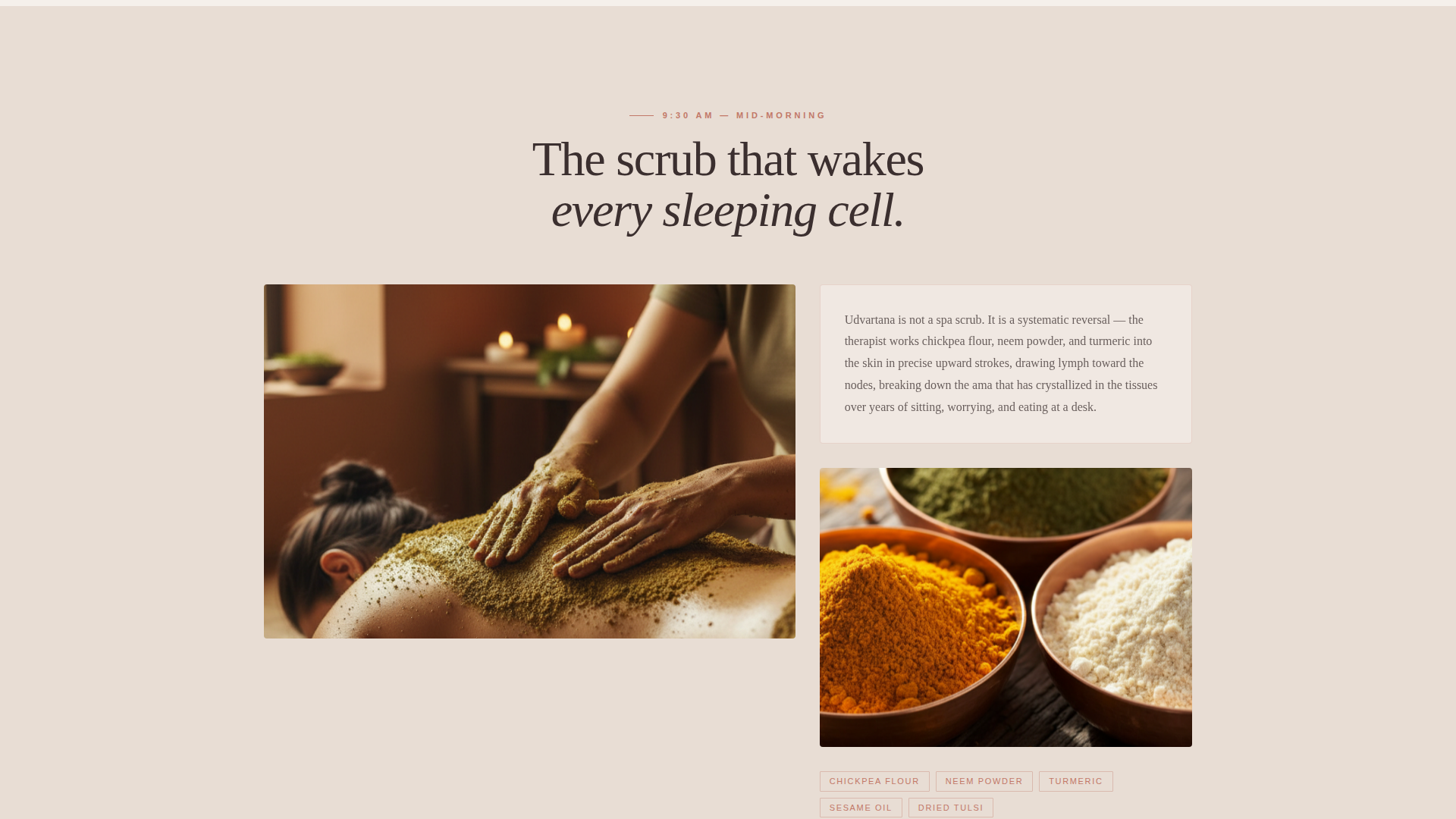Ayurvedic Spa & Wellness Treatment Website Template