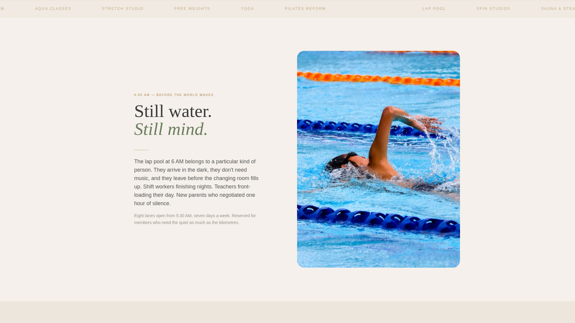 Large Gym & Fitness Chain Website Template with Zen Design