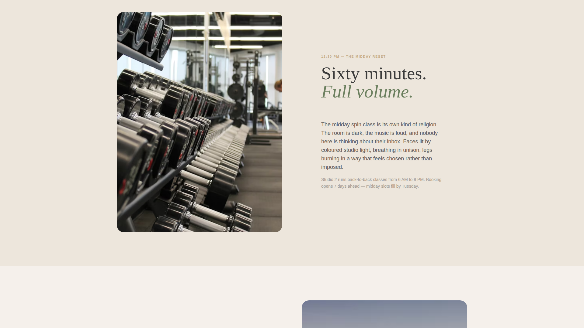 Large Gym & Fitness Chain Website Template with Zen Design